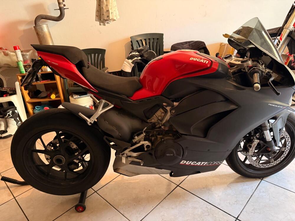 Ducati Panigale V4 1100 (2018 - 19) (4)