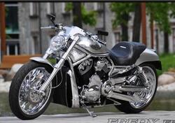 Harley-Davidson 1250 V-Rod (2008 - 12) - VRSCAW usata