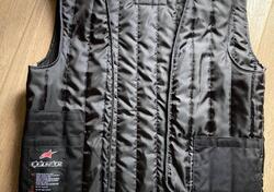 Giubbino pelle moto Alpinestars
