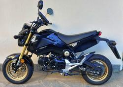 Honda MSX 125 (2013 - 15) usata