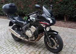 Honda CBF 600 S (2007 - 12) usata