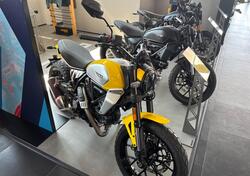 Ducati Scrambler 800 Icon (2023 - 25) nuova