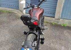 Benelli 502 C (2021 - 25) usata