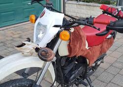 Cagiva Aletta Rossa 350 usata