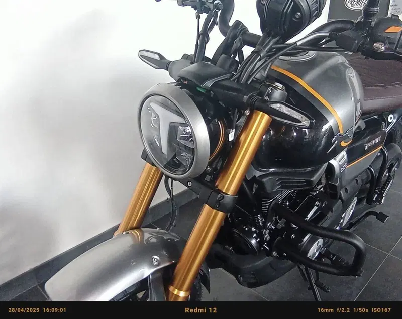 TVS Motor Ronin 250 (2024 - 26) (4)