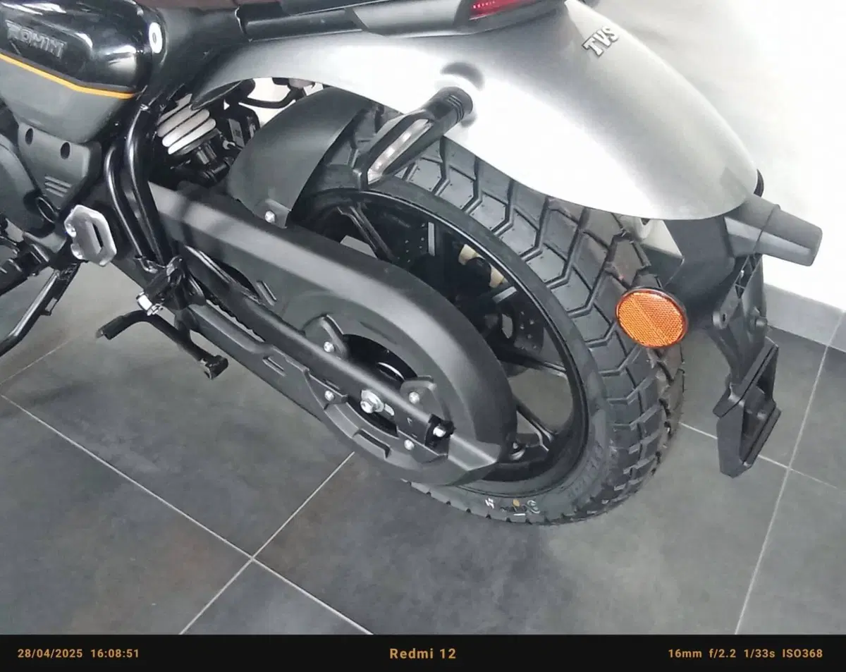 TVS Motor Ronin 250 (2024 - 26) (5)
