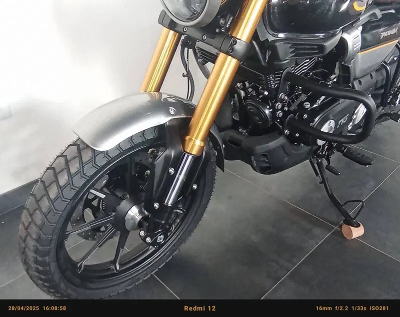 TVS Motor Ronin 250 (2024 - 26) (6)
