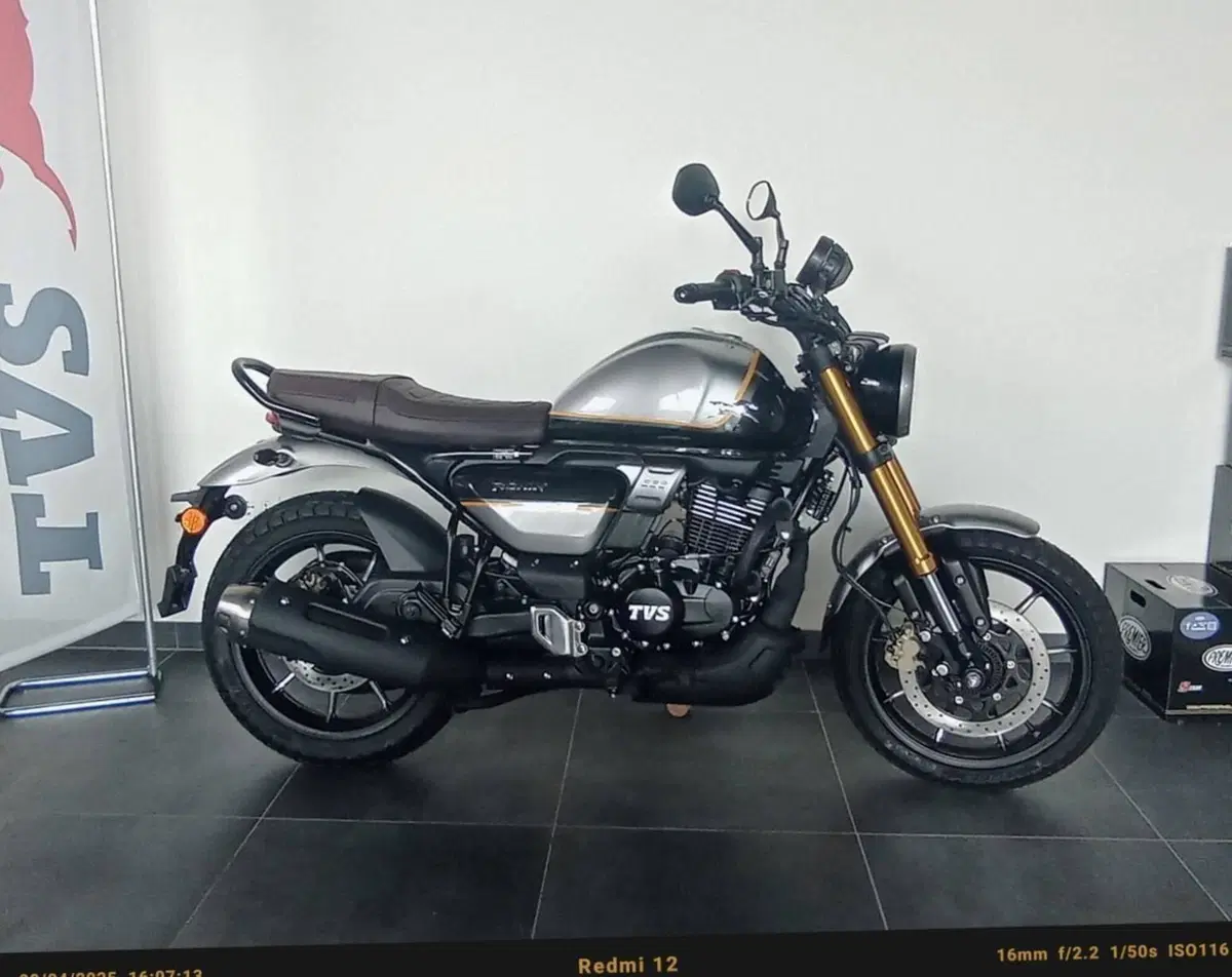 TVS Motor Ronin 250 (2024 - 26) (12)