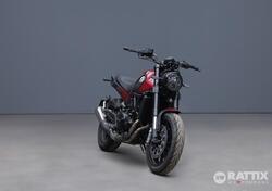 Benelli Leoncino 500 (2021 - 25) nuova