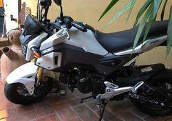 Honda MSX 125 (2016 - 17) usata