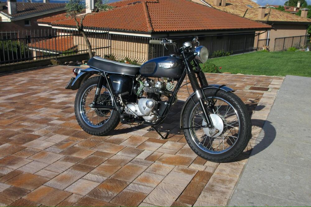 Triumph T100 C