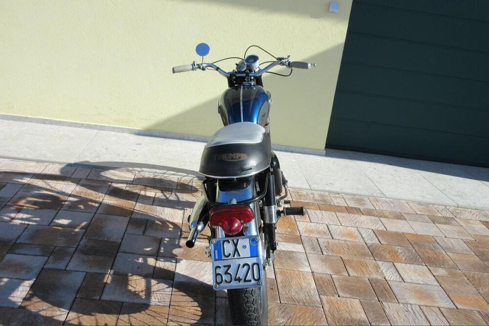 Triumph T100 C (4)