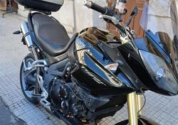 Triumph Tiger 1050 (2006 - 12) usata