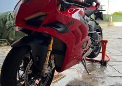 Ducati Panigale V4 S (2022 - 24) usata