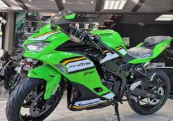 Kawasaki Ninja ZX-4RR (2024 - 25) nuova