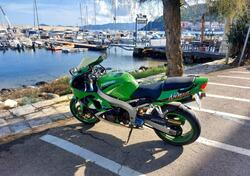 Kawasaki Ninja 600 ZX-6R (1998 - 99) usata