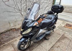Malaguti Madison 250 RS (2003 - 04) usata