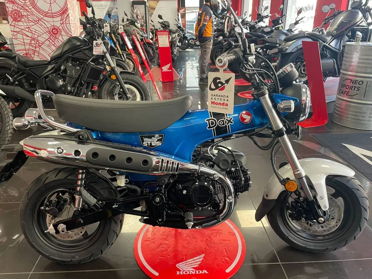 Honda Dax 125 (2025 - 26)