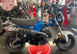 Honda Dax 125 (2025) nuova