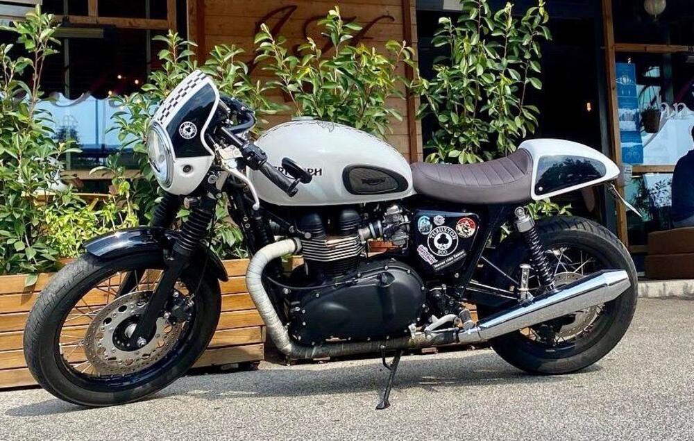 Triumph Thruxton 900 ACE (2014 - 15)