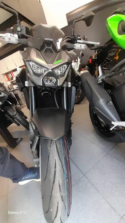 Kawasaki Z 900 (2025 - 26) (2)