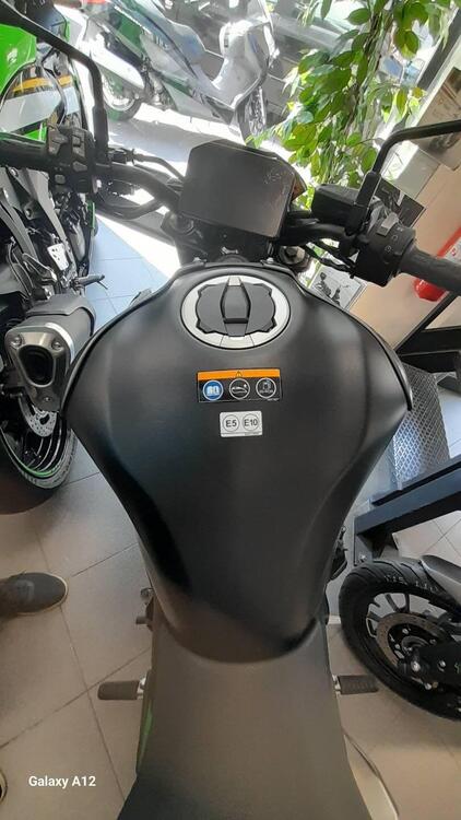 Kawasaki Z 900 (2025 - 26) (3)