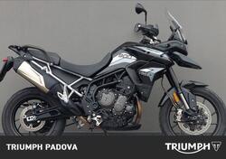 Triumph Tiger 900 GT (2020 - 23) usata