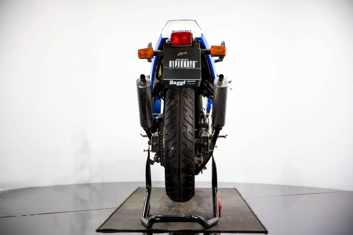 Suzuki RGV 250 (1989 - 97) (9)
