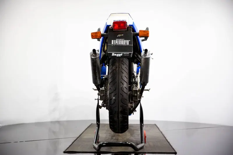 Suzuki RGV 250 (1989 - 97) (9)