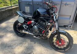 Kawasaki Versys 650 (2006 - 09) usata