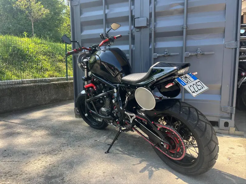 Kawasaki Versys 650 (2006 - 09) (2)