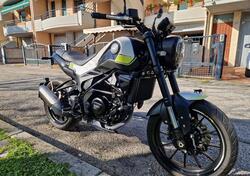Benelli Leoncino 250 (2019 - 20) usata