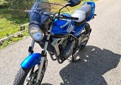 Kawasaki ER-5 500 (2001 - 06) usata