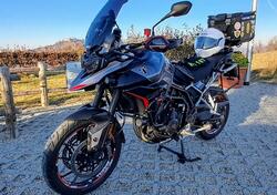 Triumph Tiger 900 GT Pro (2024 - 25) usata