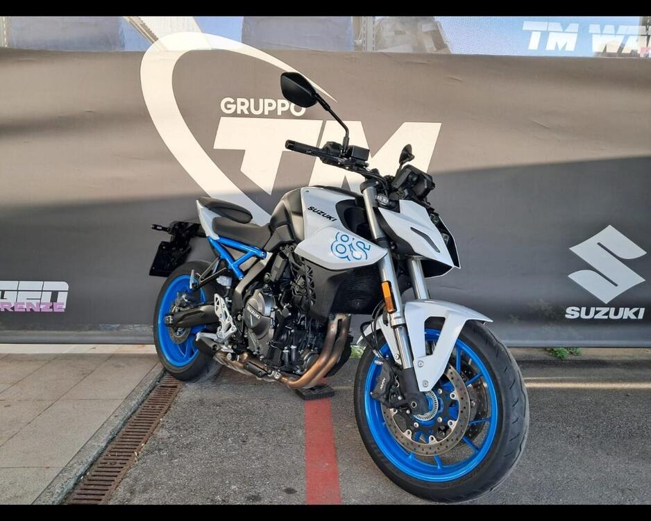 Suzuki GSX-8S (2023 - 24) (3)