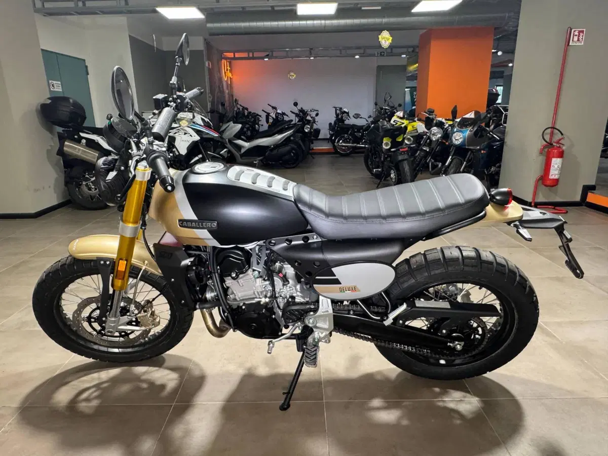 Fantic Motor Caballero 500 Scrambler Deluxe (2024) (2)