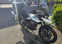 Triumph Tiger 900 GT Pro (2020 - 23) usata