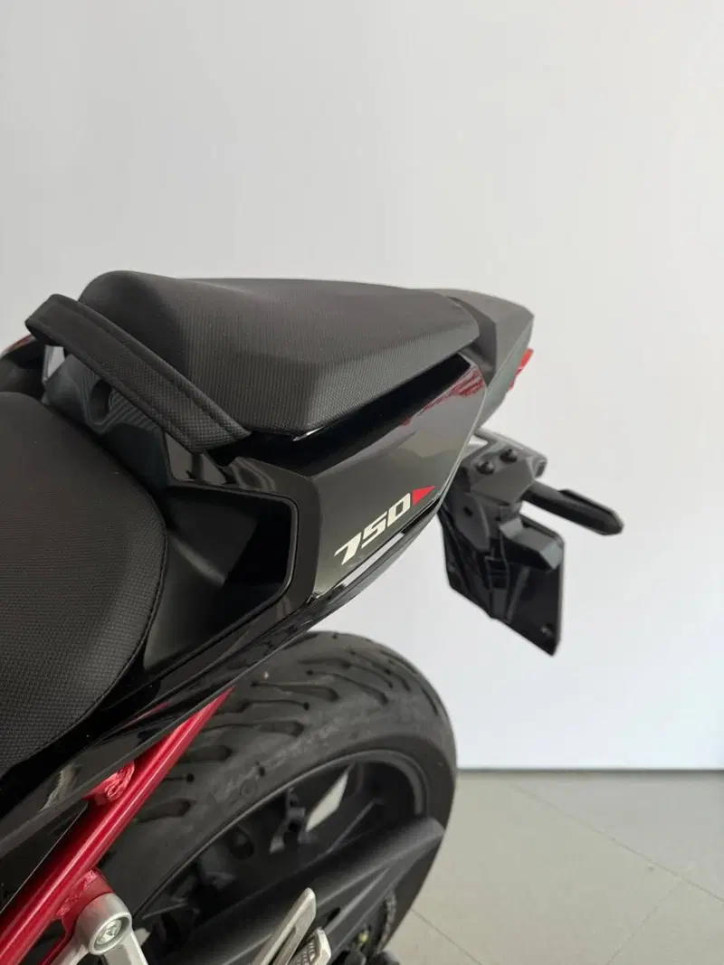 Honda CB 750 Hornet (2023 - 24) (3)