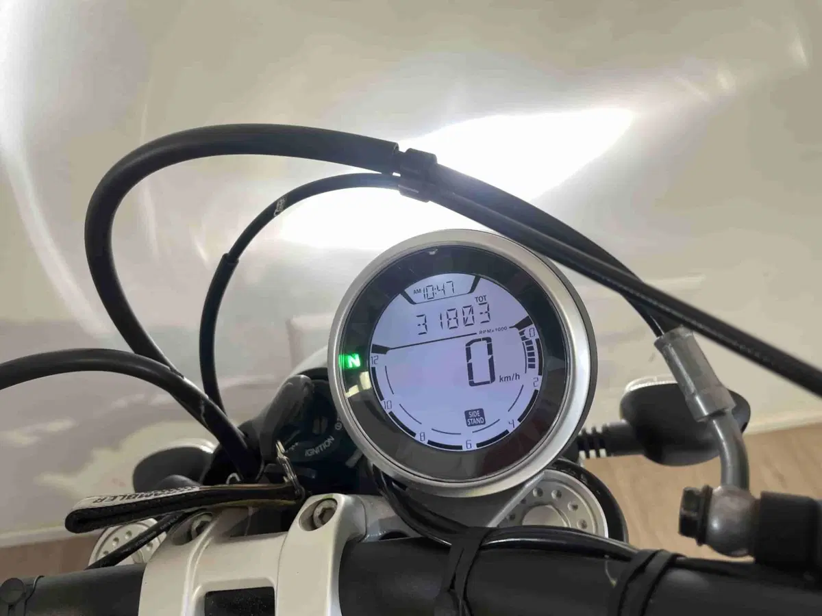 Ducati Scrambler 800 Classic (2015 - 16) (7)