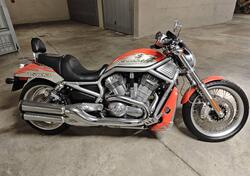 Harley-Davidson 1250 Night Rod Special (2007) - VRSCDX usata