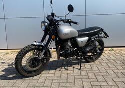 Mash Italia Two Fifty 250 (2021 - 25) usata
