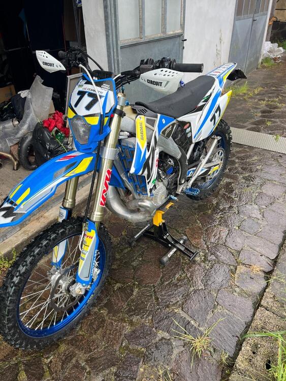 Tm Moto EN 300 Es 2t (2020) (2)