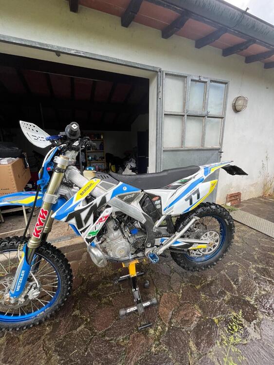 Tm Moto EN 300 Es 2t (2020) (4)