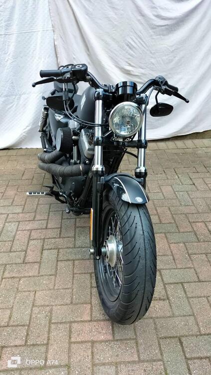 Harley-Davidson 1200 Forty-Eight (2010 - 15) (3)