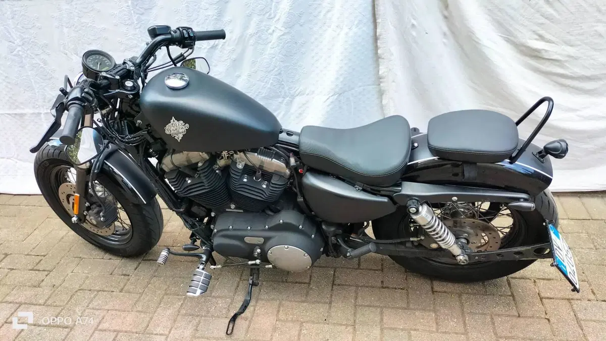 Harley-Davidson 1200 Forty-Eight (2010 - 15) (6)