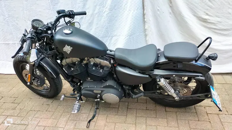 Harley-Davidson 1200 Forty-Eight (2010 - 15) (6)