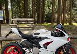 Ducati Panigale V2 955 (2020) usata