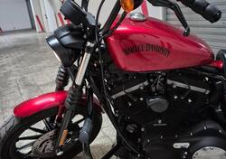 Harley-Davidson 883 Iron (2012 - 14) - XL 883N usata