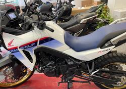 Honda Transalp XL750 (2023 - 24) usata