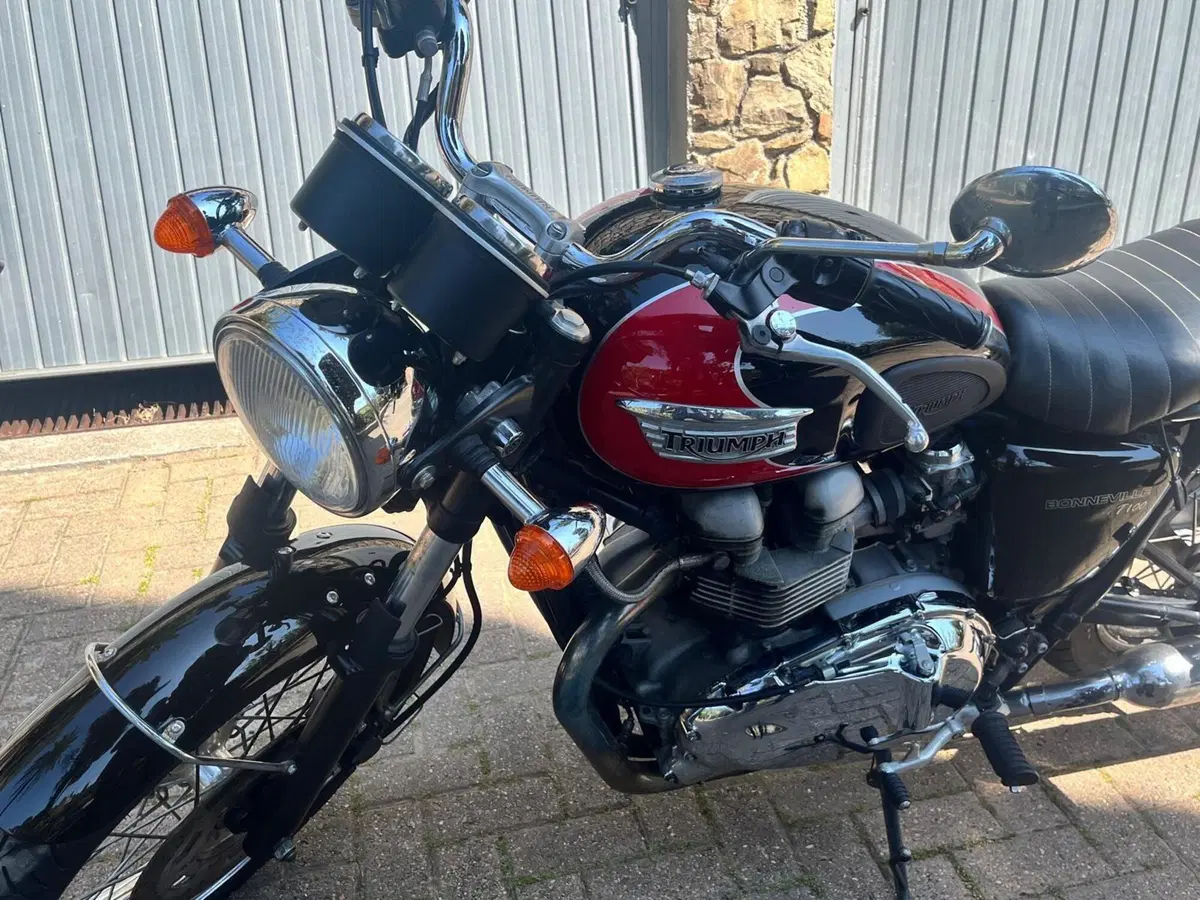 Triumph Bonneville T100 (2001 - 07) (2)